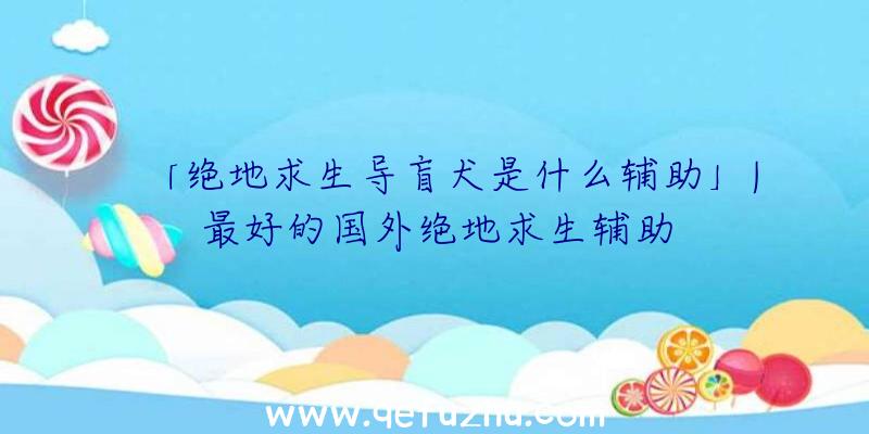 「绝地求生导盲犬是什么辅助」|最好的国外绝地求生辅助